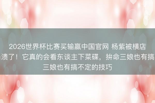 2026世界杯比赛买输赢中国官网 杨紫被横店一匹马整崩溃了！它真的会看东谈主下菜碟，拚命三娘也有搞不定的技巧
