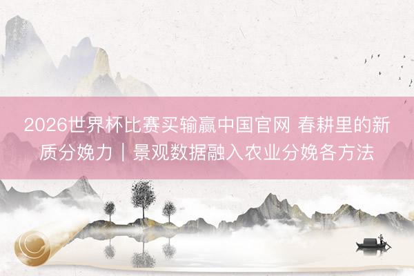 2026世界杯比赛买输赢中国官网 春耕里的新质分娩力｜景观数据融入农业分娩各方法