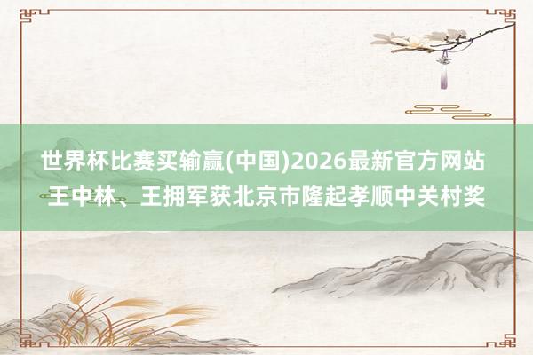 世界杯比赛买输赢(中国)2026最新官方网站 王中林、王拥军获北京市隆起孝顺中关村奖